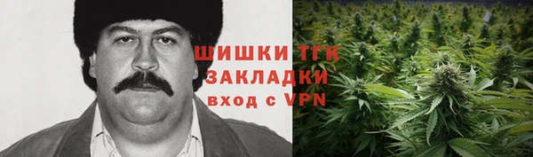 стаф Козловка