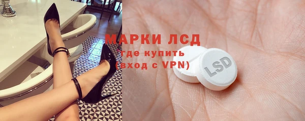 стаф Козловка