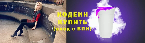 стаф Козловка