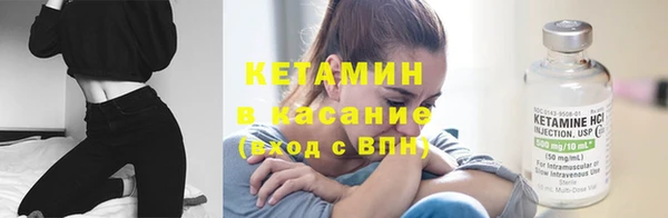 стаф Козловка