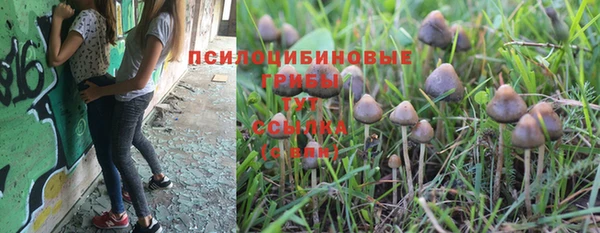 стаф Козловка