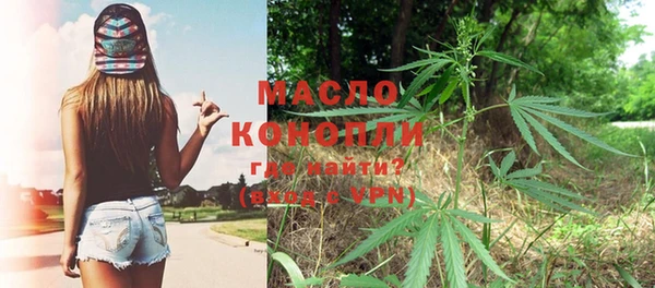 стаф Козловка