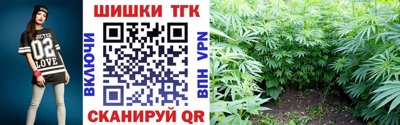 Бошки Шишки VHQ  Купить где  Новороссийск 